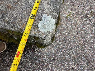 Stone Bench - cracked top