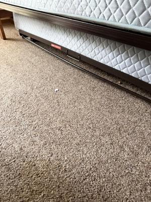 Vintage Trundle Bed