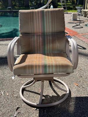 Pool Chair