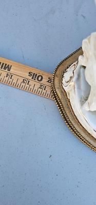 Antique Dresden Porcelain lamp