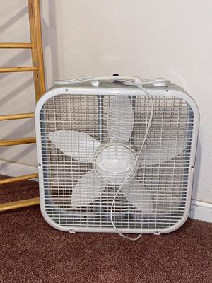 TOTES, SHOE RACK, & BOX FAN