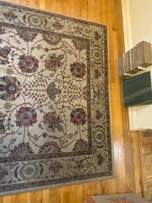 SPHINX BY ORIENTAL WEAVES “ARIANA” AREA RUG