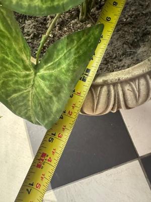 Concrete Planter with Fake Plant