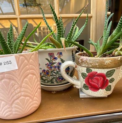 Set of 3 Potted Plants