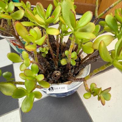 Set of 2 Potted Plants