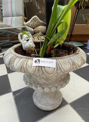 Concrete Planter with Real Plant