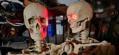 Two complete life size skeletons. New with tags