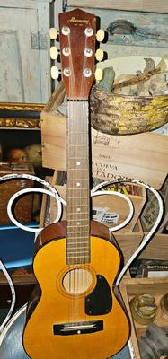 Harmony Acoustic Guitar