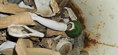 Metal bucket with Lion's Heads handles full of bones, stones and glass