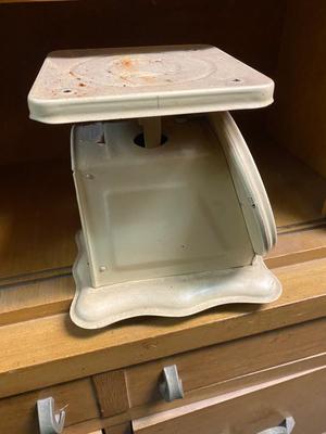 American Family brand Scale