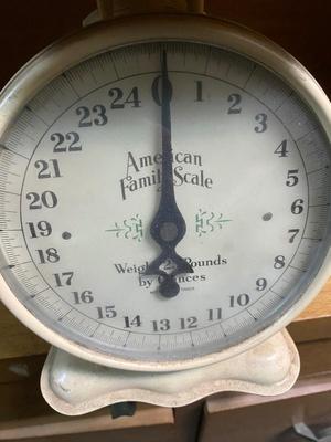 American Family brand Scale