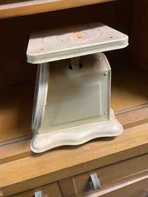 American Family brand Scale