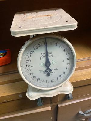 American Family brand Scale