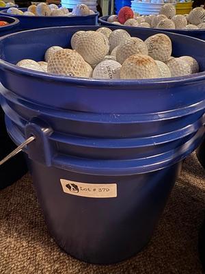 A bucket full of used Golf Balls