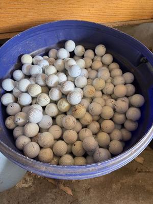 A 32 Gallon Can full of used Golf Balls