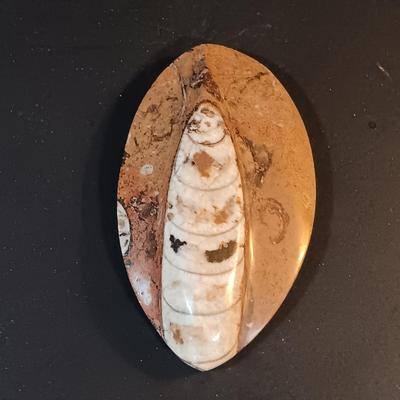 LOT 201: Cast Metal Elk Figurine, Vintage Stone Axe, Stone Arrowheads, Dried Shelf Mushroom & More