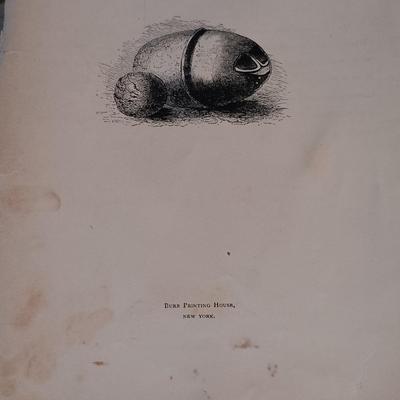 LOT 201: Cast Metal Elk Figurine, Vintage Stone Axe, Stone Arrowheads, Dried Shelf Mushroom & More