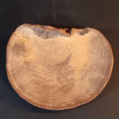 LOT 201: Cast Metal Elk Figurine, Vintage Stone Axe, Stone Arrowheads, Dried Shelf Mushroom & More