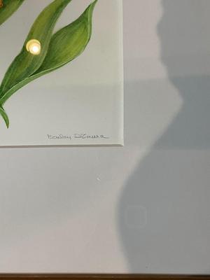 L625 Original Drawing of "Tulip Species" by Lee D'Zmura