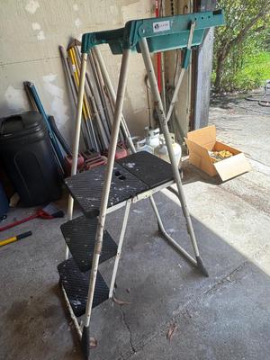Painters Ladder