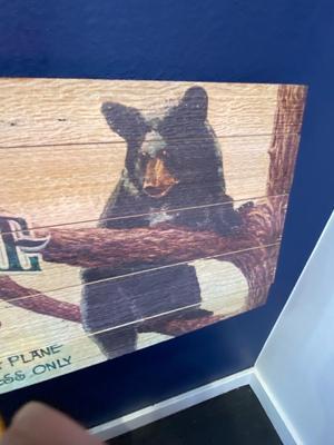 WOOD AND CANVAS OUTDOORS MAN WALL ART