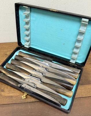 Vintage Set of Inoxydable Knives Made in France