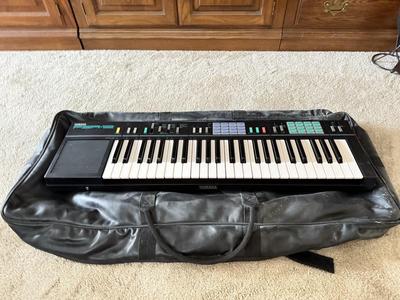 LOT 417L: Electronic Keyboards: Yamaha PSR-12 & Casio PT-100