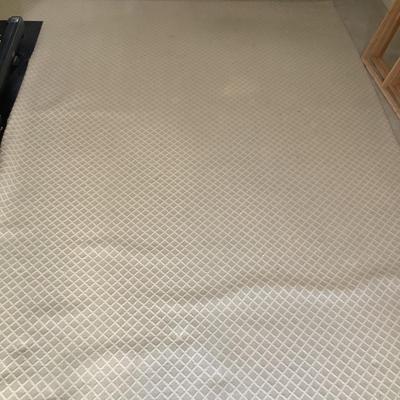 BR719 Large Custom Cut Berber Sage Green and White Wool Area Rug 12' x 15'6"