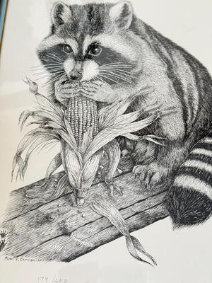 LOT 421L: Signed & Numbered Alan E Crman Racoon Artwork 179/250