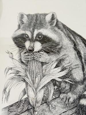 LOT 421L: Signed & Numbered Alan E Crman Racoon Artwork 179/250