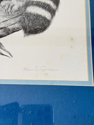 LOT 421L: Signed & Numbered Alan E Crman Racoon Artwork 179/250