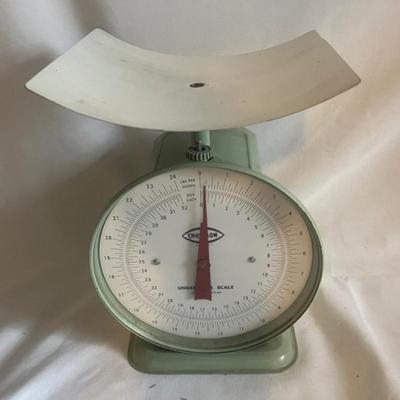 Chatillon Metal Kitchen Scale (G-MG)