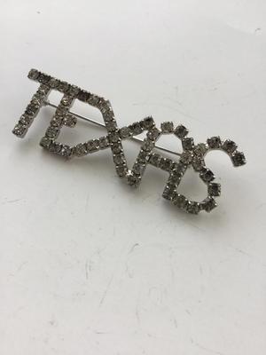 Beautiful vintage Texas rhinestone pin