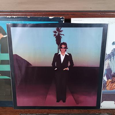 LOT 238: Vintage LPs- Sly and the Family Stone, Billy Joel, Hall and Oates & More