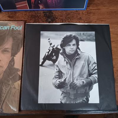 LOT 240: Vintage LPs- John Cougar Mellencamp, Bruce Springsteen, Olivia Newton-John & More