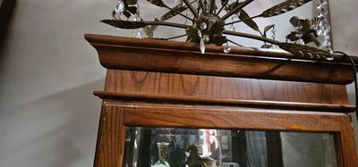 Tall Display Cabinet with Lights Inside
