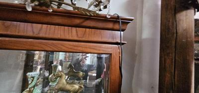 Tall Display Cabinet with Lights Inside