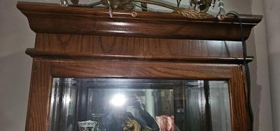 Tall Display Cabinet with Lights Inside
