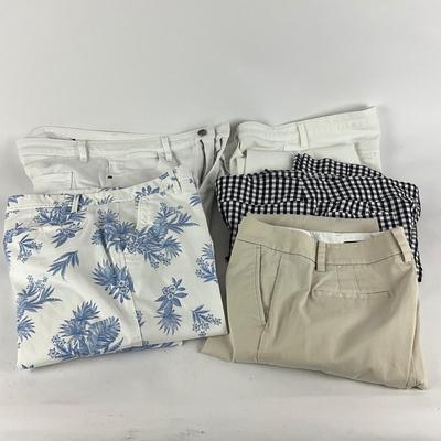 M1010 Lot of Ladies TALBOT's Pants Size 10-12