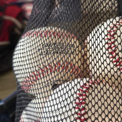 LOT 257: Philadelphia Phillies Collection: Signed Baseballs, Bags & More