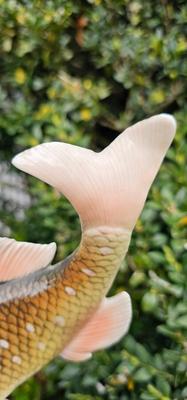 Porcelain Fish ENS German Trout by Karl Ens