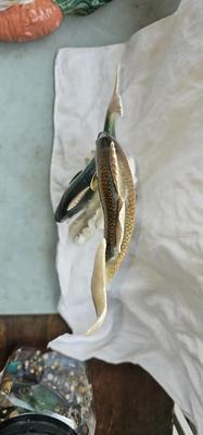Porcelain Fish ENS German Trout by Karl Ens