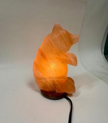Natural Himalayan Pink Salt Bear Shape Lamp
