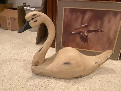 A FEW GEESE THAT ARE LOOKING TO RELOCATE WITH SOMEONE NEW