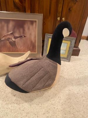 A FEW GEESE THAT ARE LOOKING TO RELOCATE WITH SOMEONE NEW