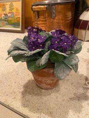 WALL DECOR, MATCHING THROW PILLOW AND PRETTY FAUX AFRICAN VIOLET