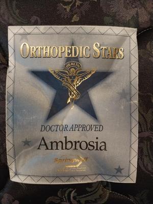 QUEEN BED WITH AMBROSIA ORTHEPEDIC MATRESS