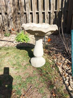 CEMENT BIRDBATH