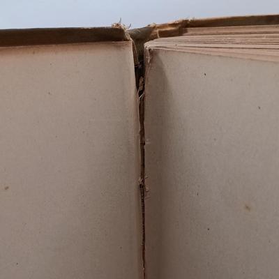 LOT 9: Smithsonian Institution 2-Volume Set Handbook of American Indians 1907 and 1910