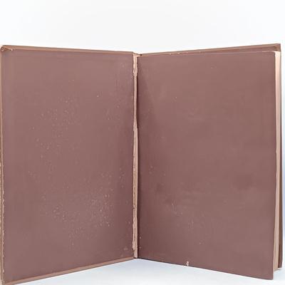 LOT 14: Charl3s Scribner's & Sons 1883 Merry Adventures of Robin hood, 1932 Pinocchio, 1929 Bambi & More